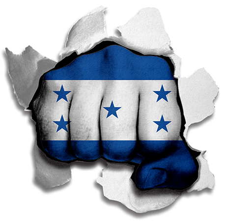 Fist Honduras Flag Logo cricut iron on